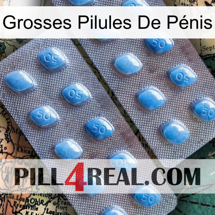 Grosses Pilules De Pénis viagra4